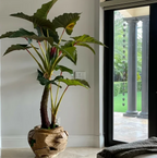 Planta artificial grande de "Alocacia" con maceta incluida.