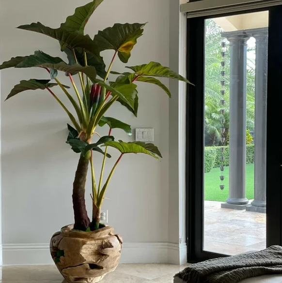 Planta artificial grande de "Alocacia" con maceta incluida.