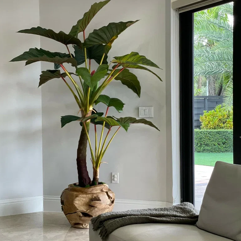 Planta artificial grande de "Alocacia" con maceta incluida.